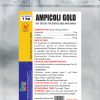 AMPICOLI GOLD
